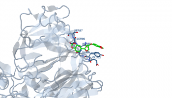 ASARININE